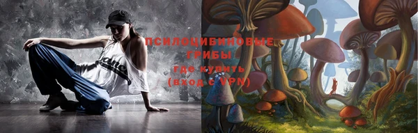 эйфоретик Каменка