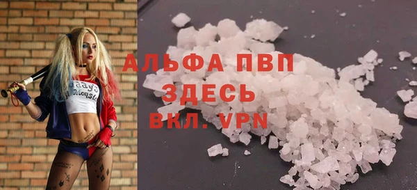 мдпв Каменногорск