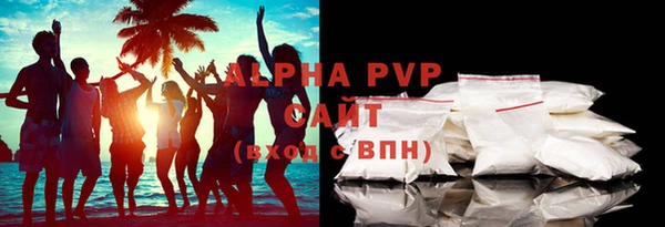 мдпв Каменногорск