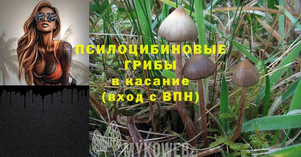 эйфоретик Каменка
