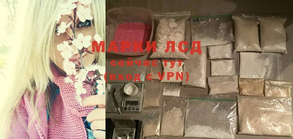 mdpv Медвежьегорск