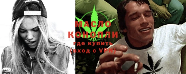 мдпв Каменногорск