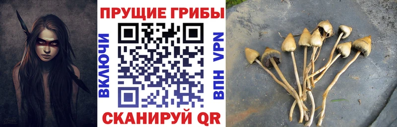 ссылка на мегу ONION  Горячеводский  Псилоцибиновые грибы прущие грибы  купить наркотик 